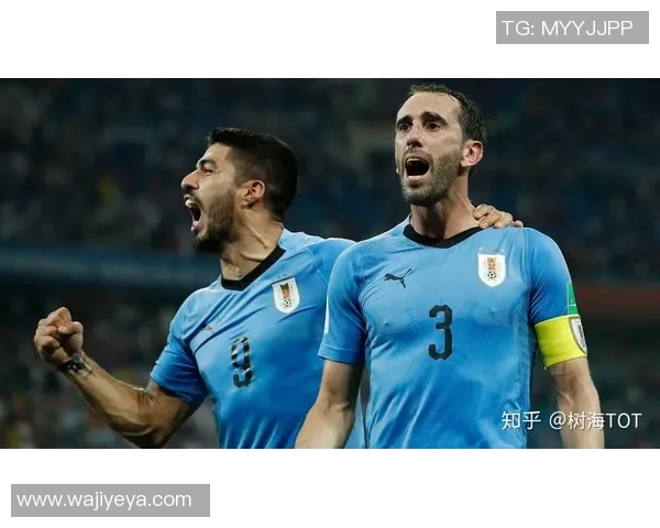 乌拉圭足球历史传奇球星排名前十名盘点与分析